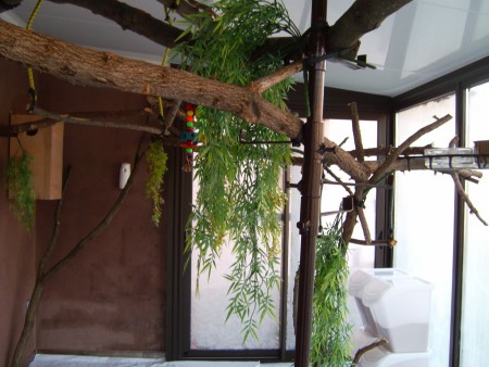 Plantes non toxiques !